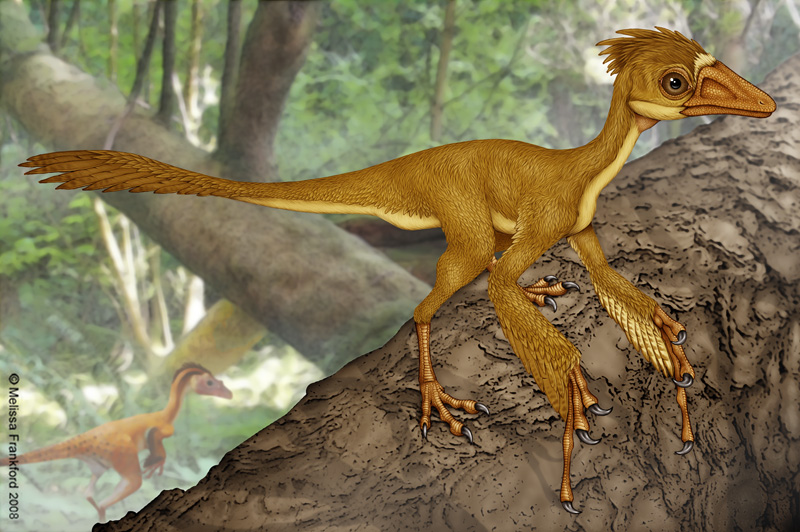 scansoriopteryx