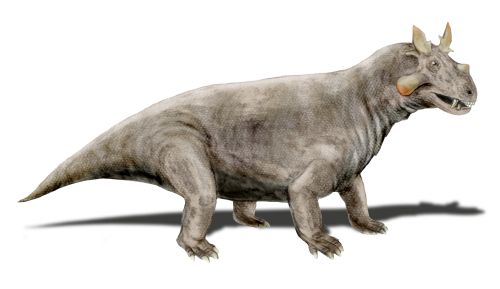 Dinocephalia (Estemmenosuchus)