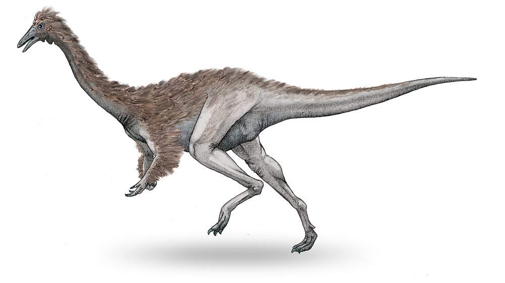 Deinocheirus