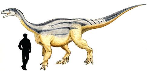 melanorosaurus