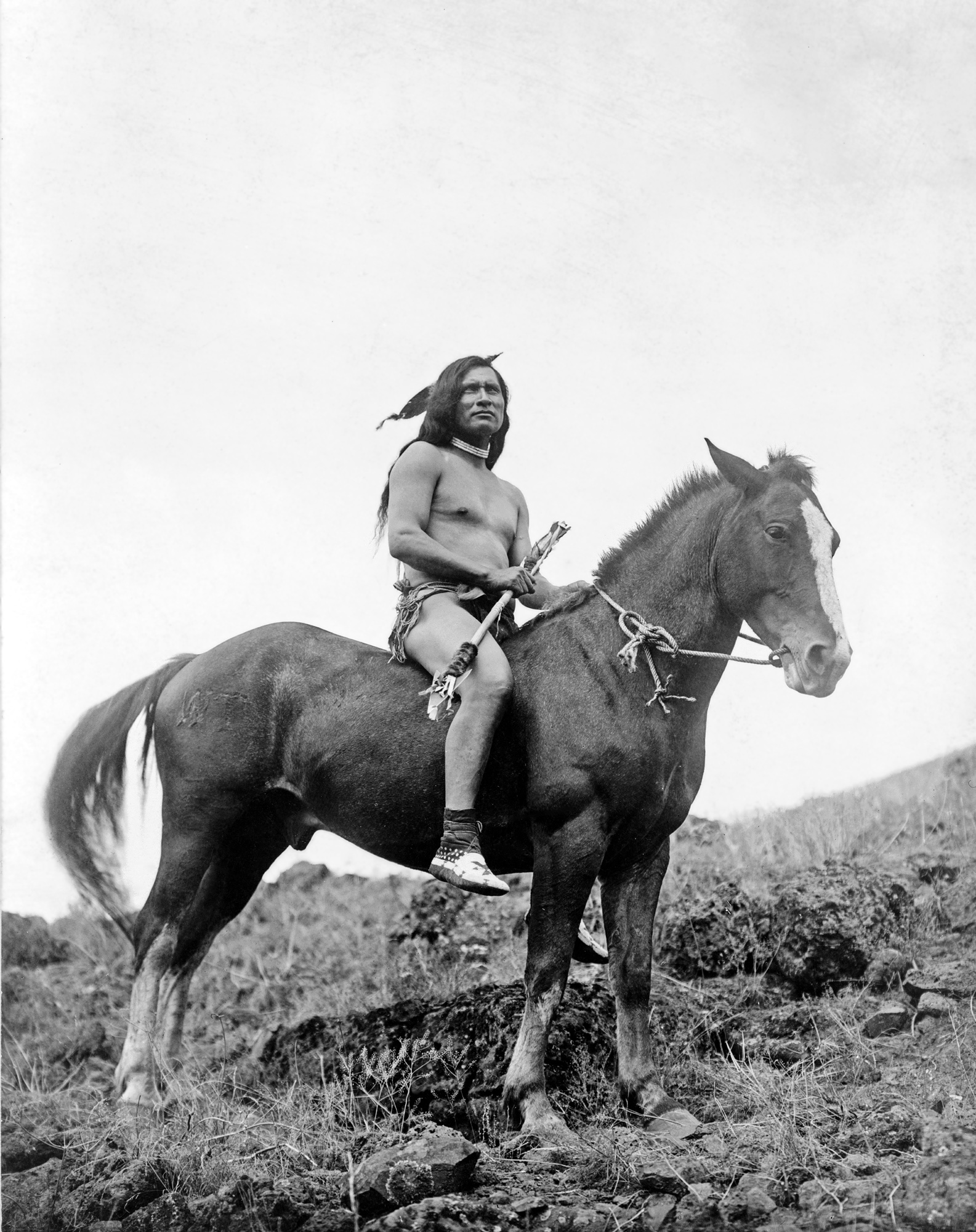 horseback