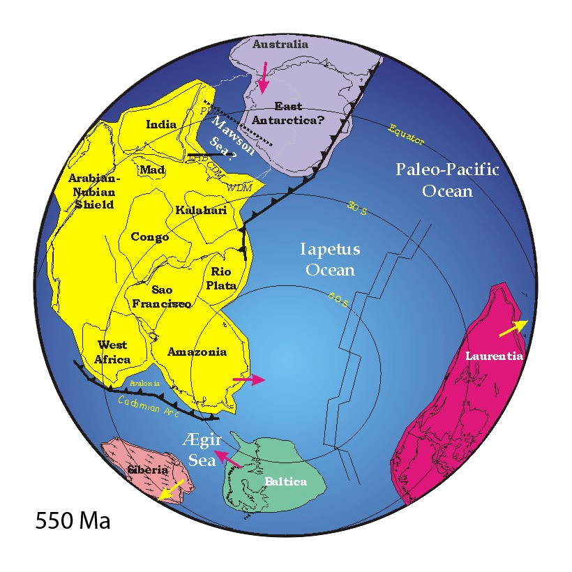 globe