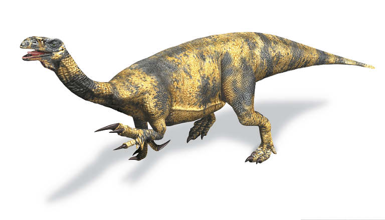 Prosauropoda