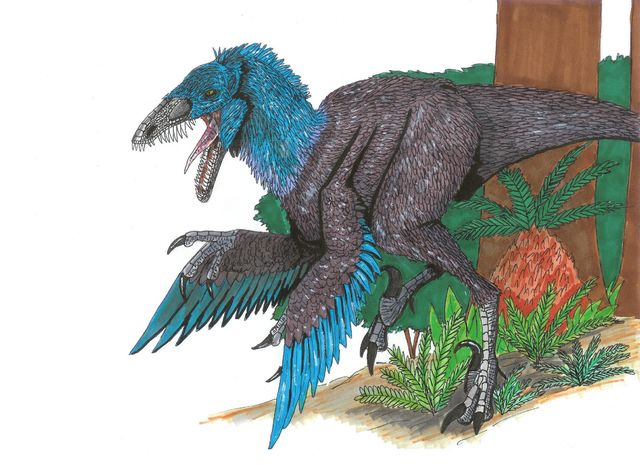 sinornithosaurus