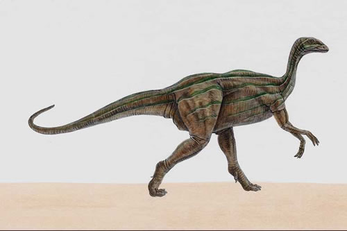 Thecodontosaurus