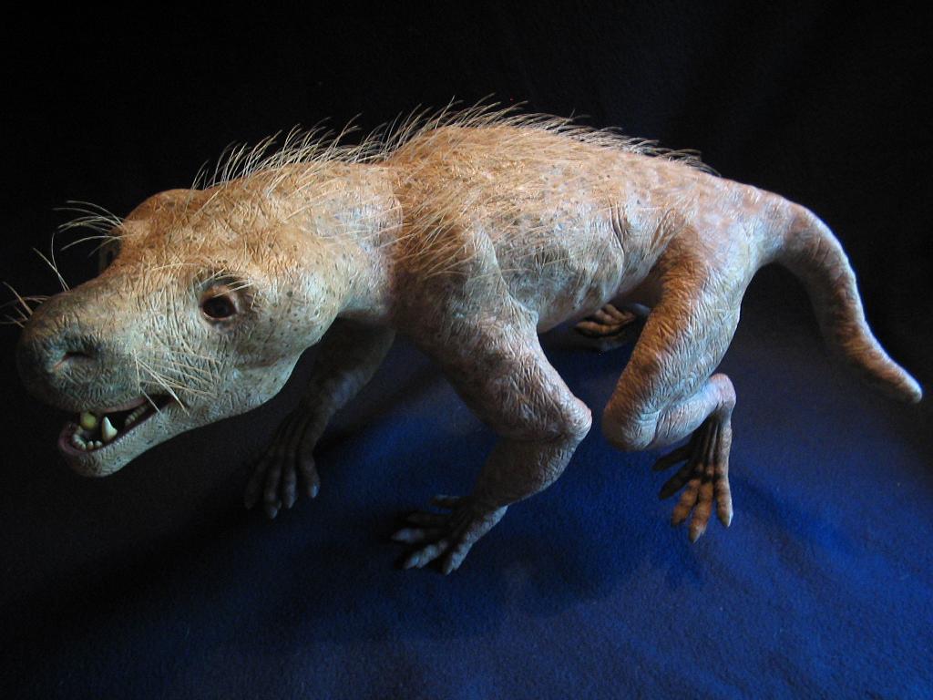 cynodonten (Thrinaxodon Liorhinus)