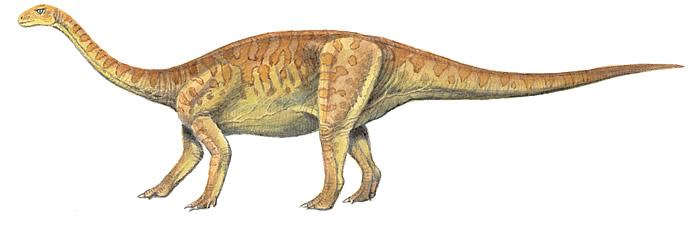 Yunnanosaurus BW.jpg