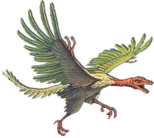 archaeopteryx