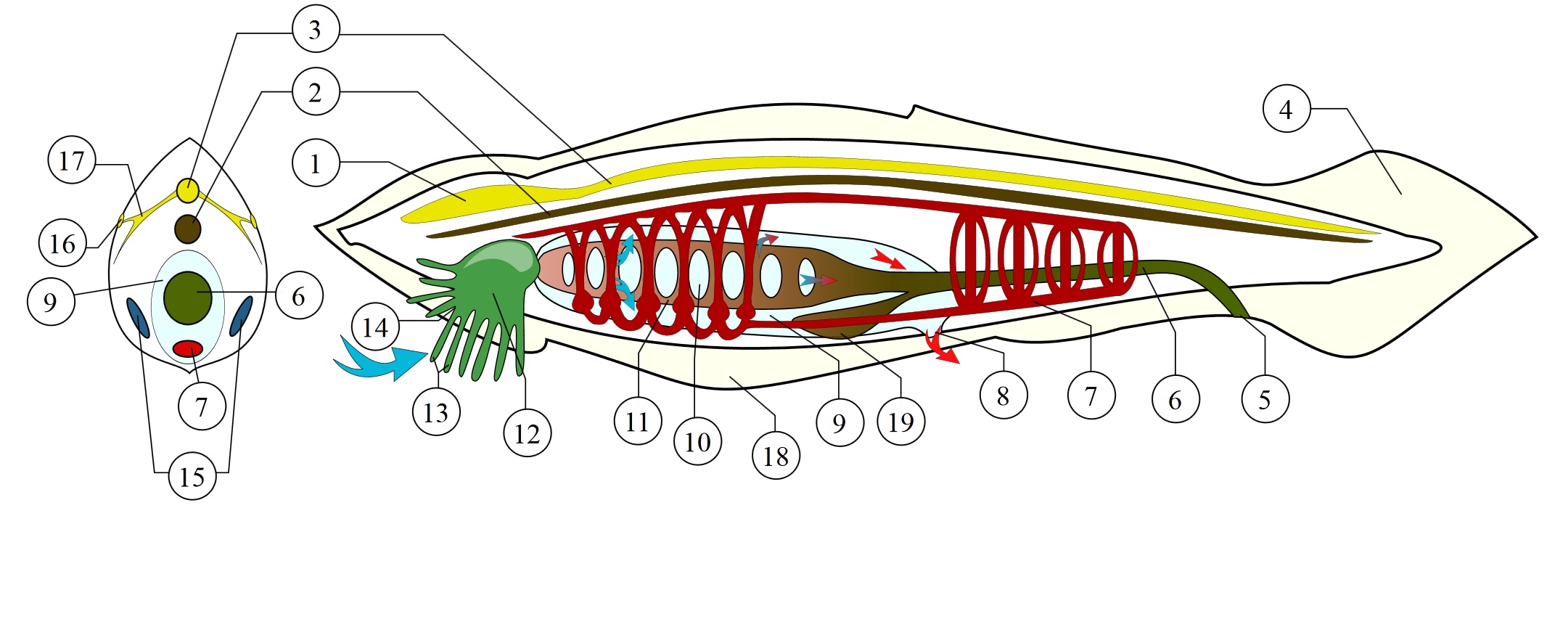 biletaria