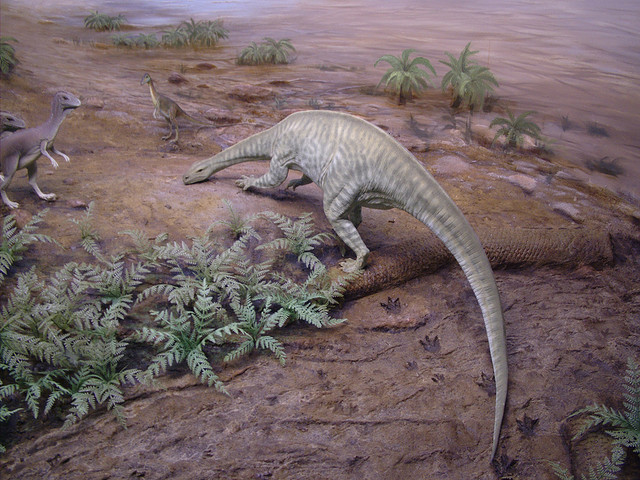 anchisauridae