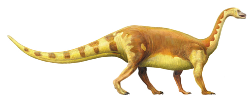 Lufengosaurus sketch2.jpg