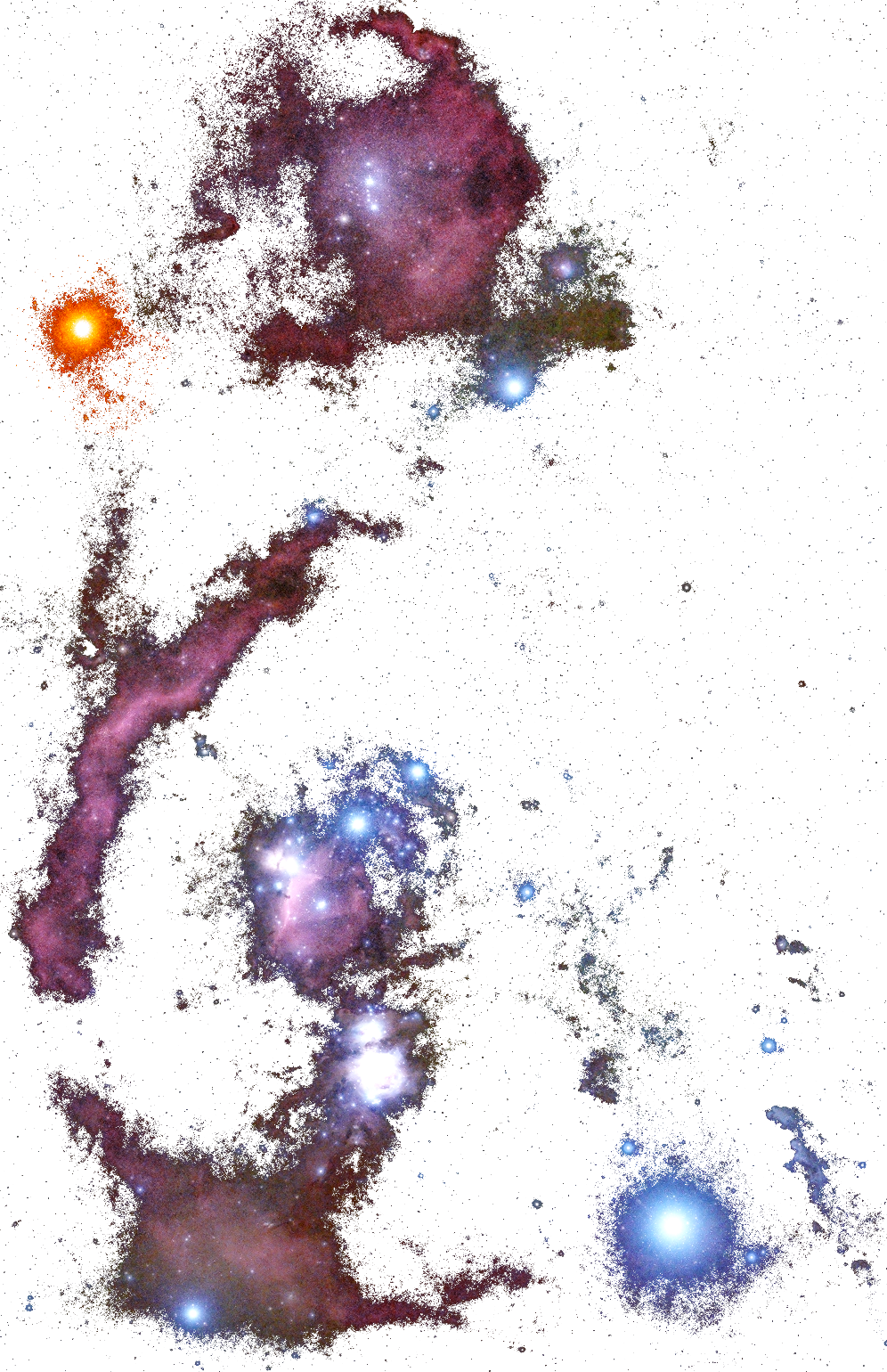 orionis