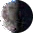 halfleeg