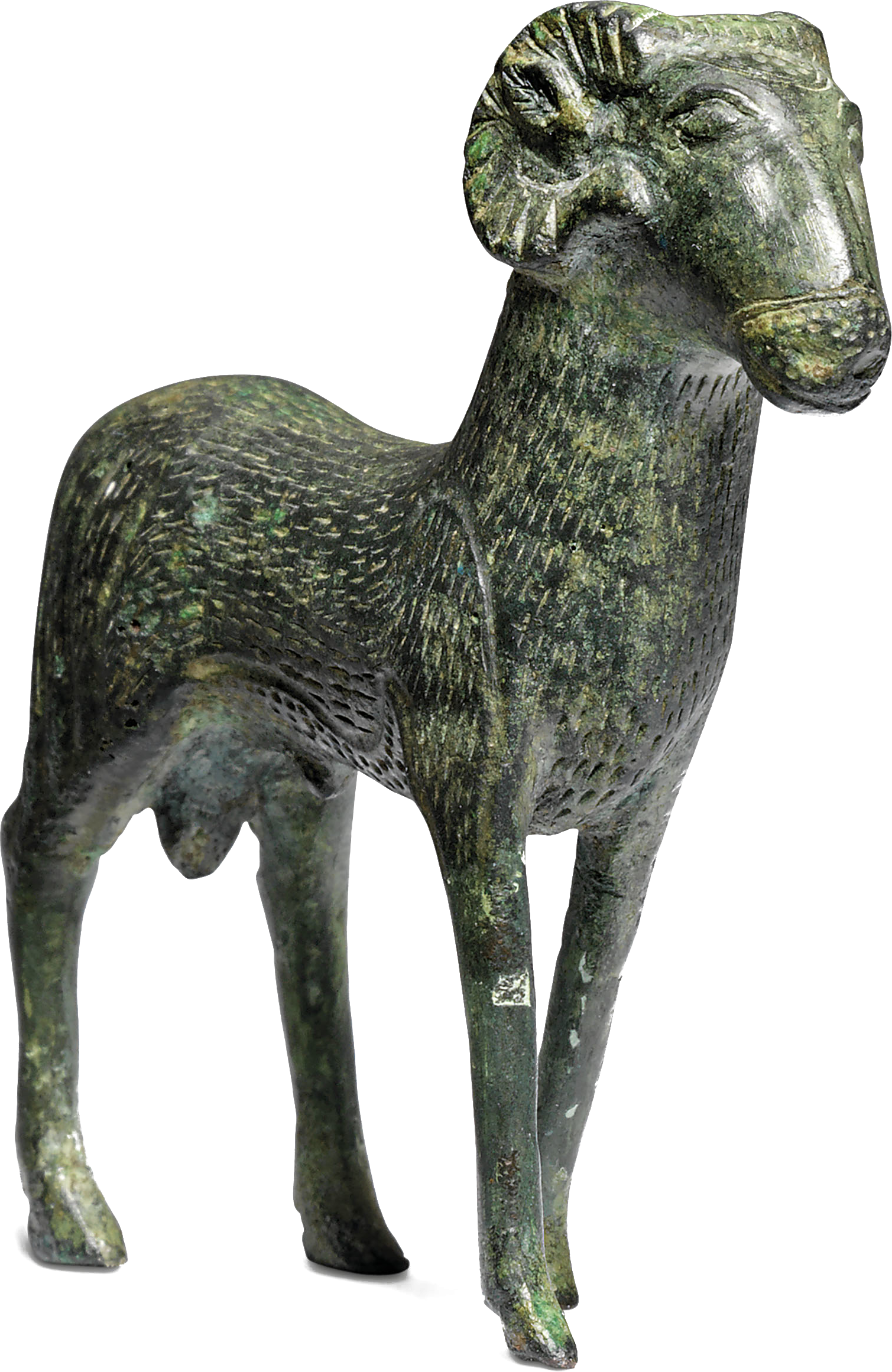 ram