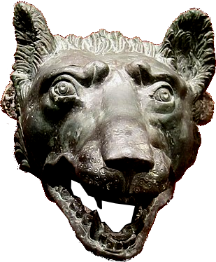 wolf