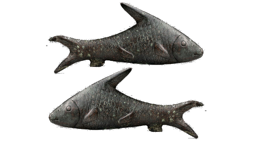 capricornus
