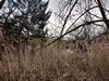 beekloop20230222