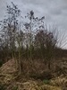 beekloop20230222
