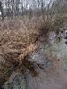 beekloop20230222