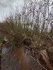 beekloop20230222