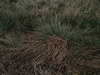beekloop20230222