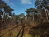 images/tn_z03d15.gif