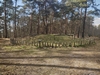 images/tn_z03d15.gif