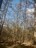 images/tn_z03d15.gif