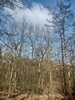 images/tn_z03d15.gif