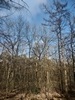 images/tn_z03d15.gif