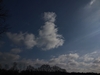 images/tn_z03d15.gif