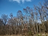 images/tn_z03d15.gif