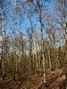 images/tn_z03d15.gif