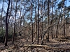 images/tn_z03d15.gif