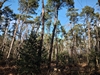 images/tn_z03d15.gif