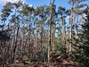 images/tn_z03d15.gif