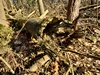 images/tn_z03d15.gif