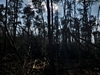 images/tn_z03d15.gif