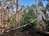 images/tn_z03d15.gif