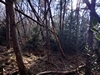 images/tn_z03d15.gif