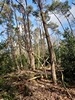 images/tn_z03d15.gif