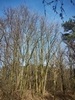keersop20230311