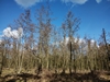 keersop20230315.jpg