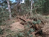 keersop20230315.jpg