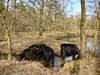 keersop20230315.jpg