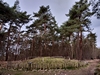 keersop20230317
