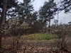 keersop20230410