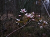 keersop20230411