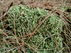 keersop20230412