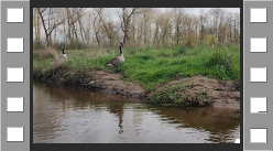 dommel20230415